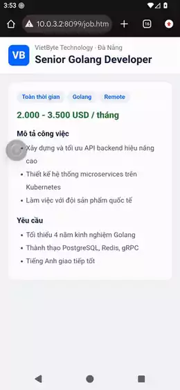 Bewerbung als Senior Golang Dev entwerfen